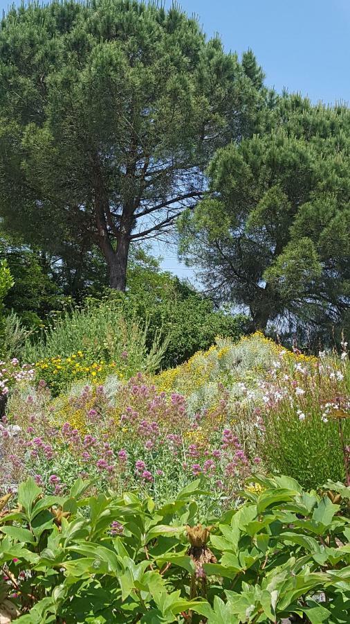 Au Calme Chez L'Habitant Foulayronnes ภายนอก รูปภาพ